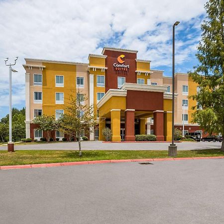 Comfort Suites Denham Springs Eksteriør bilde